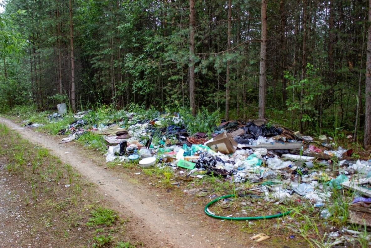 Тко если не проживаешь. Мусор в лесу. Свалка мусора в лесу. Леса в мусоре.