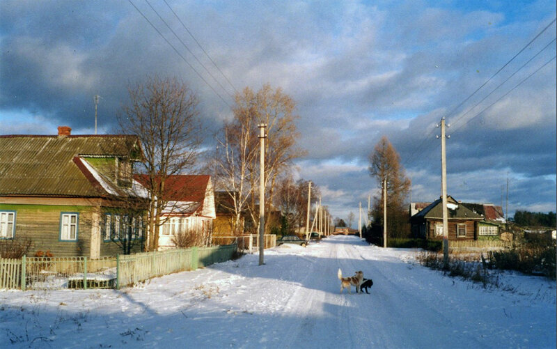 фото из интернета