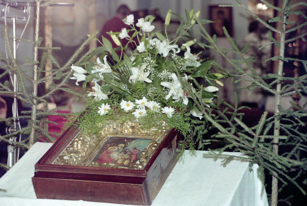 Фото: Виктор Лисицын/Globallookpress