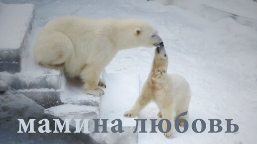 Детский дом малыши издалека. Поставь малыш. Поставь малыш. Вакцинация детей. Ребенка поставили в угол в детском саду.