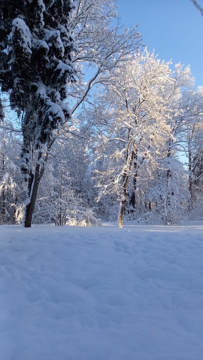 Зимняя красота в резиденции Йоулупукки, фото автора