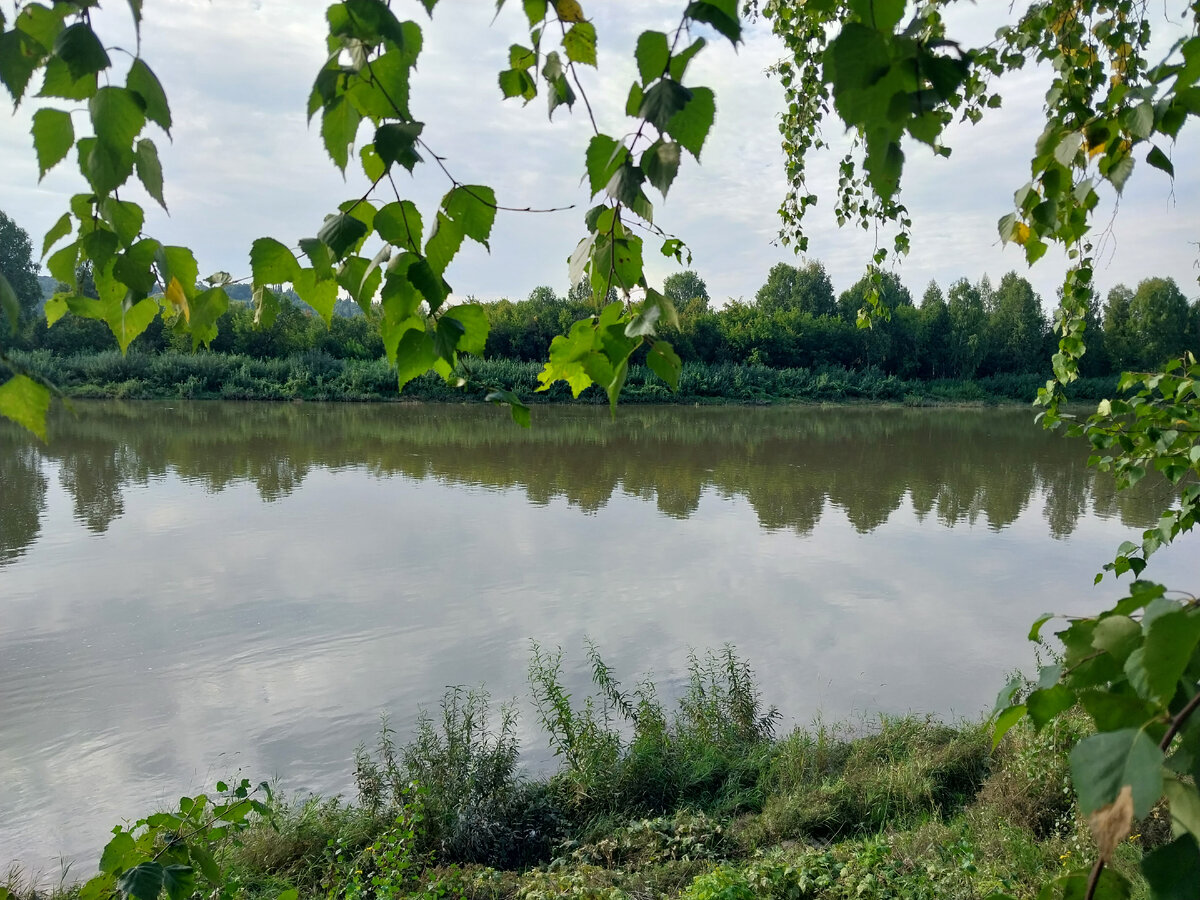 Мутна и неширока