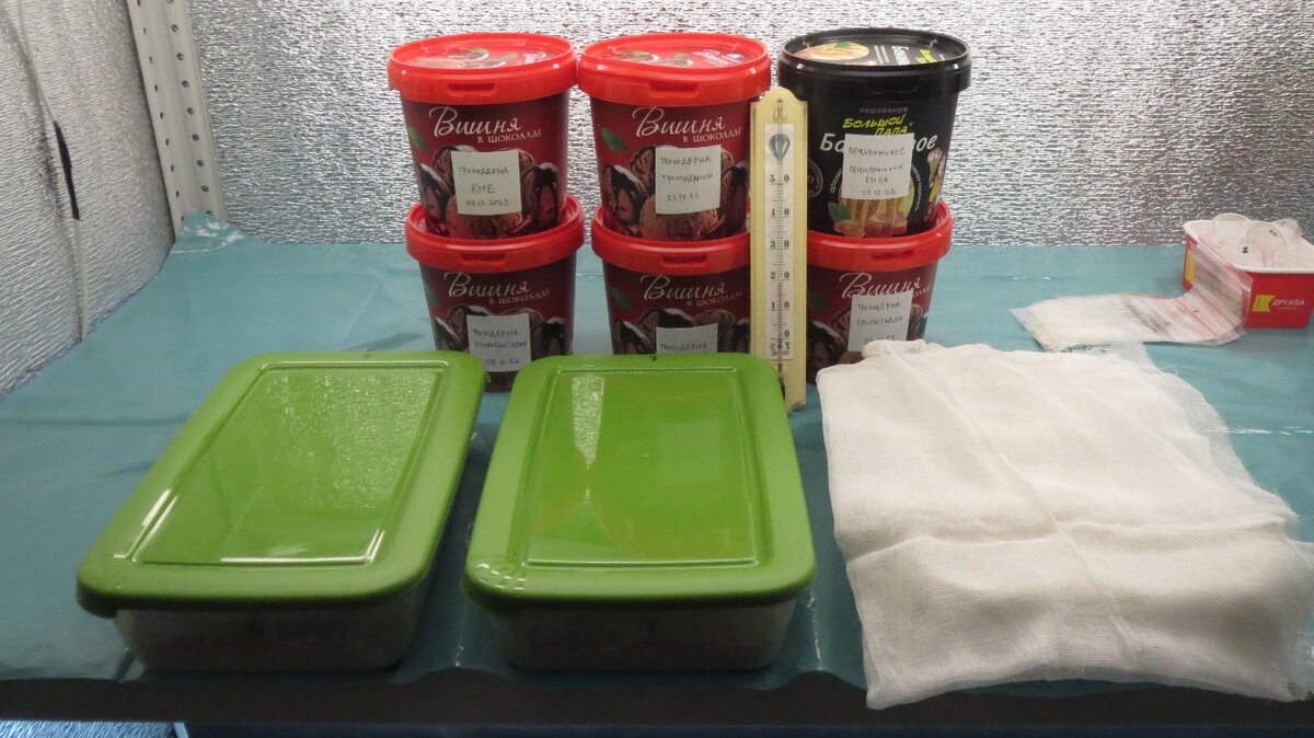 06 января 2024 года. На заднем плане уже нарощенные грибы, на переднем - лотки с перловкой.