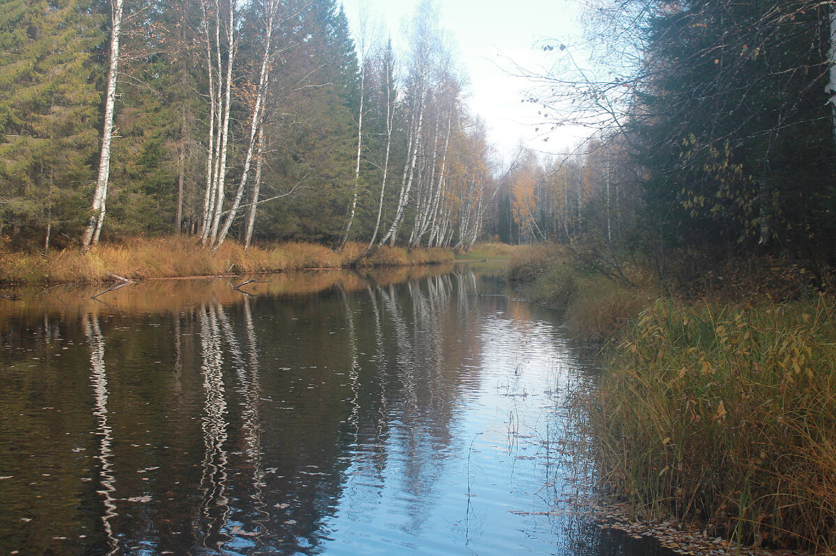 Река впадает в