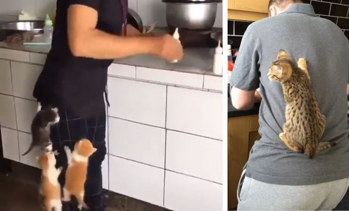 Почему надо знать свои права. Анекдот про продажи. Зачем знать как устроен и работает организм человека. Зачем нужно знать свой организм. Почему люди знают.