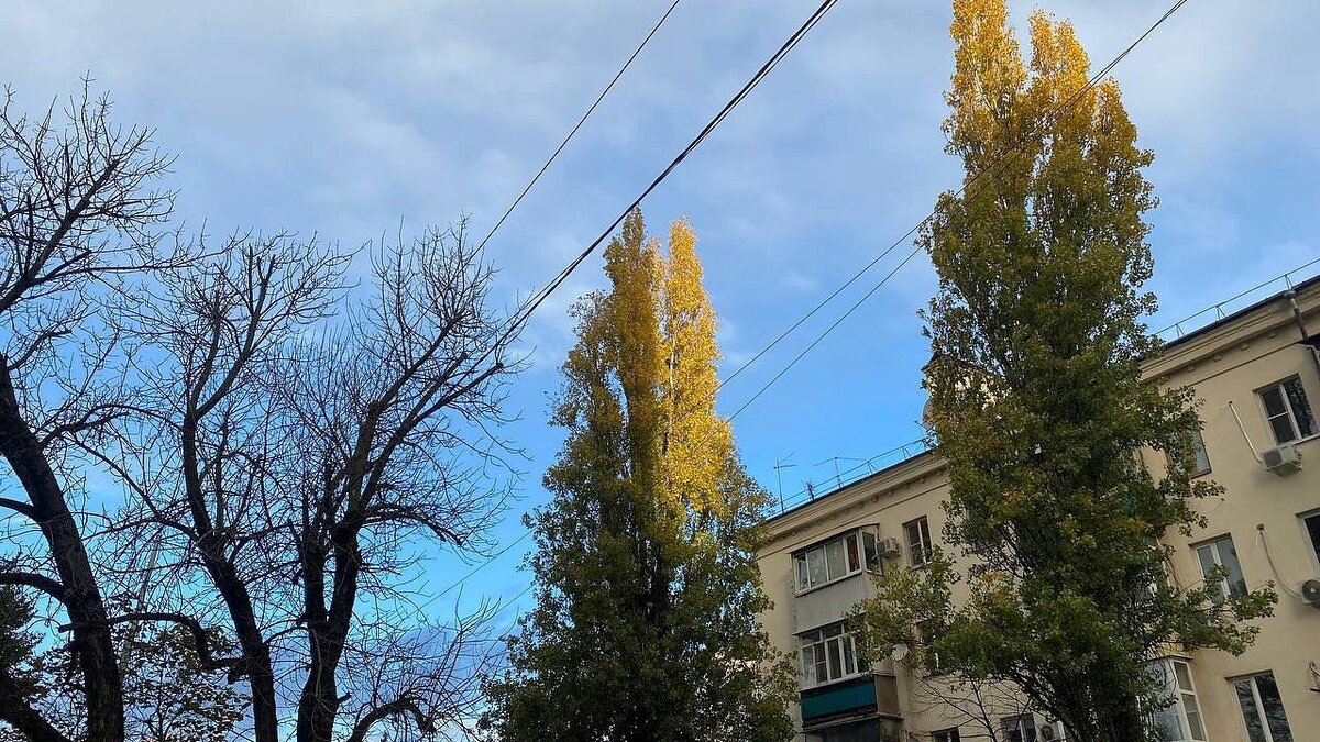    На Рождество в Краснодаре будет тепло и солнечно. Фото: телеканал «Краснодар»