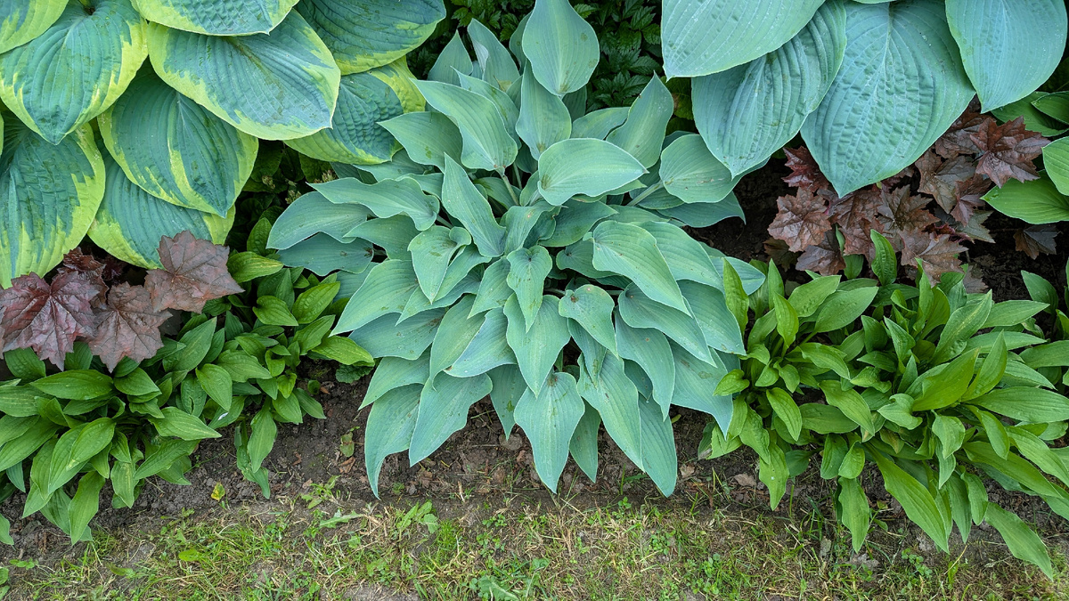 Июнь 2025 года