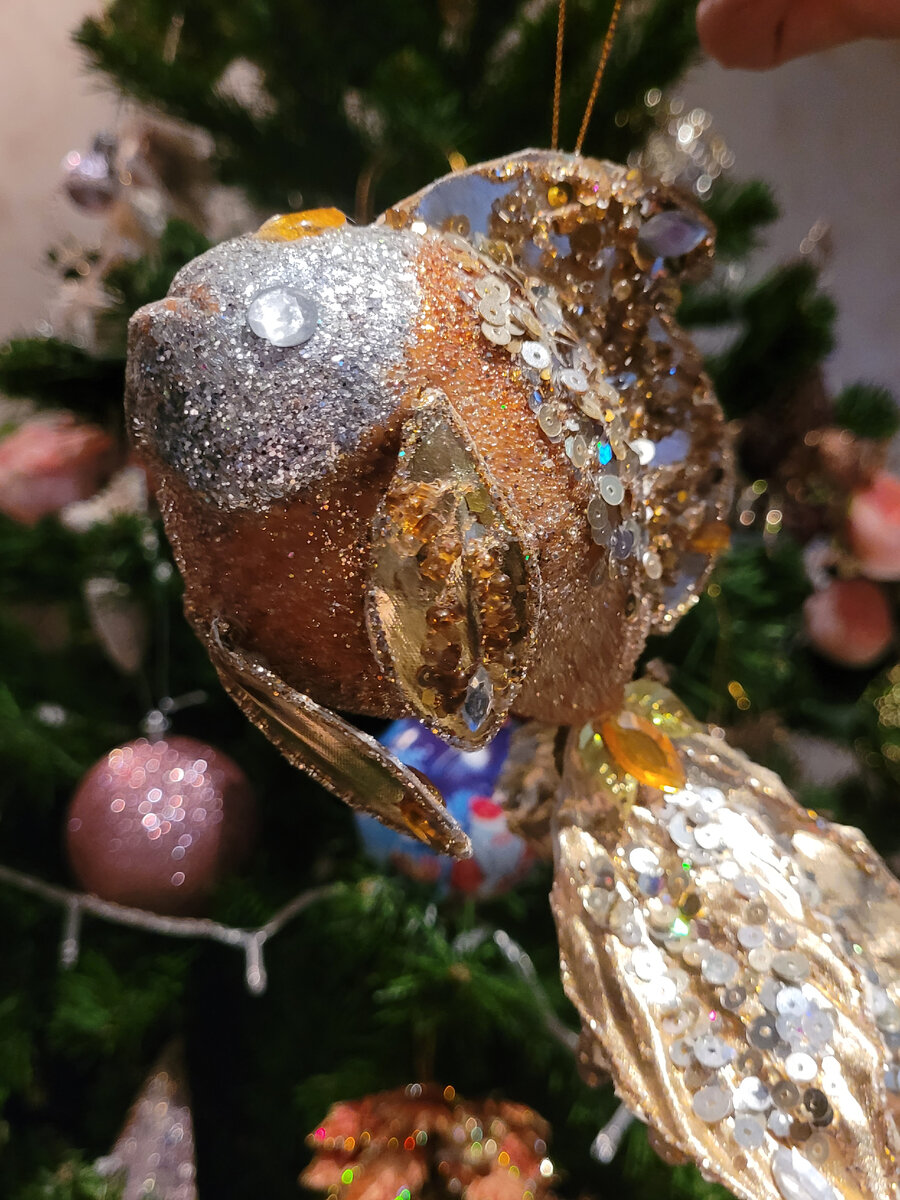 Фото автора.Золотая рыбка!