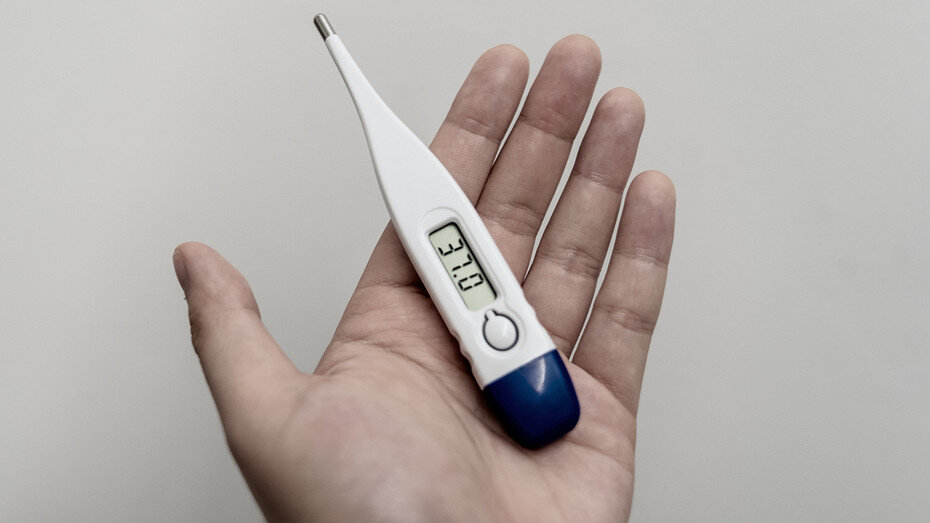     Источник здесь и далее: unsplash.com