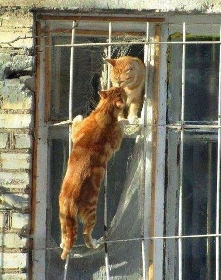Третий под