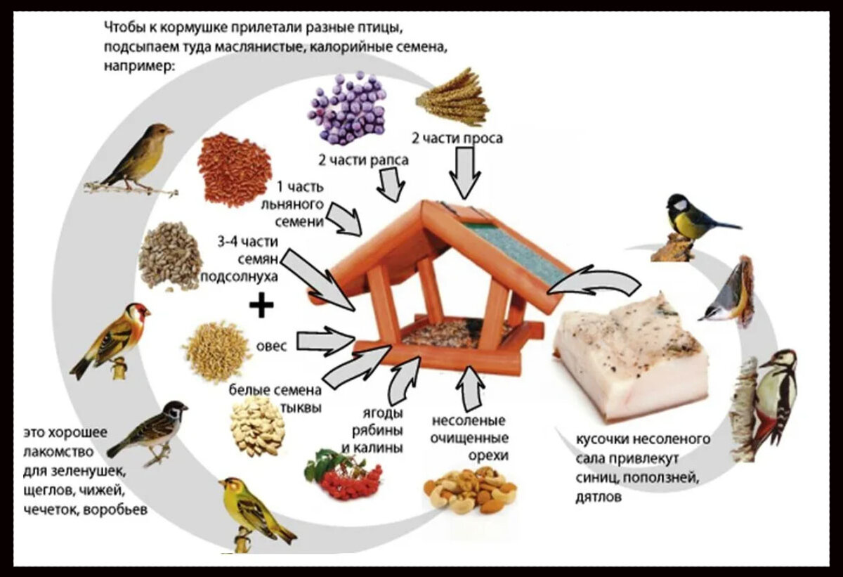 Какую крупу можно в кормушку