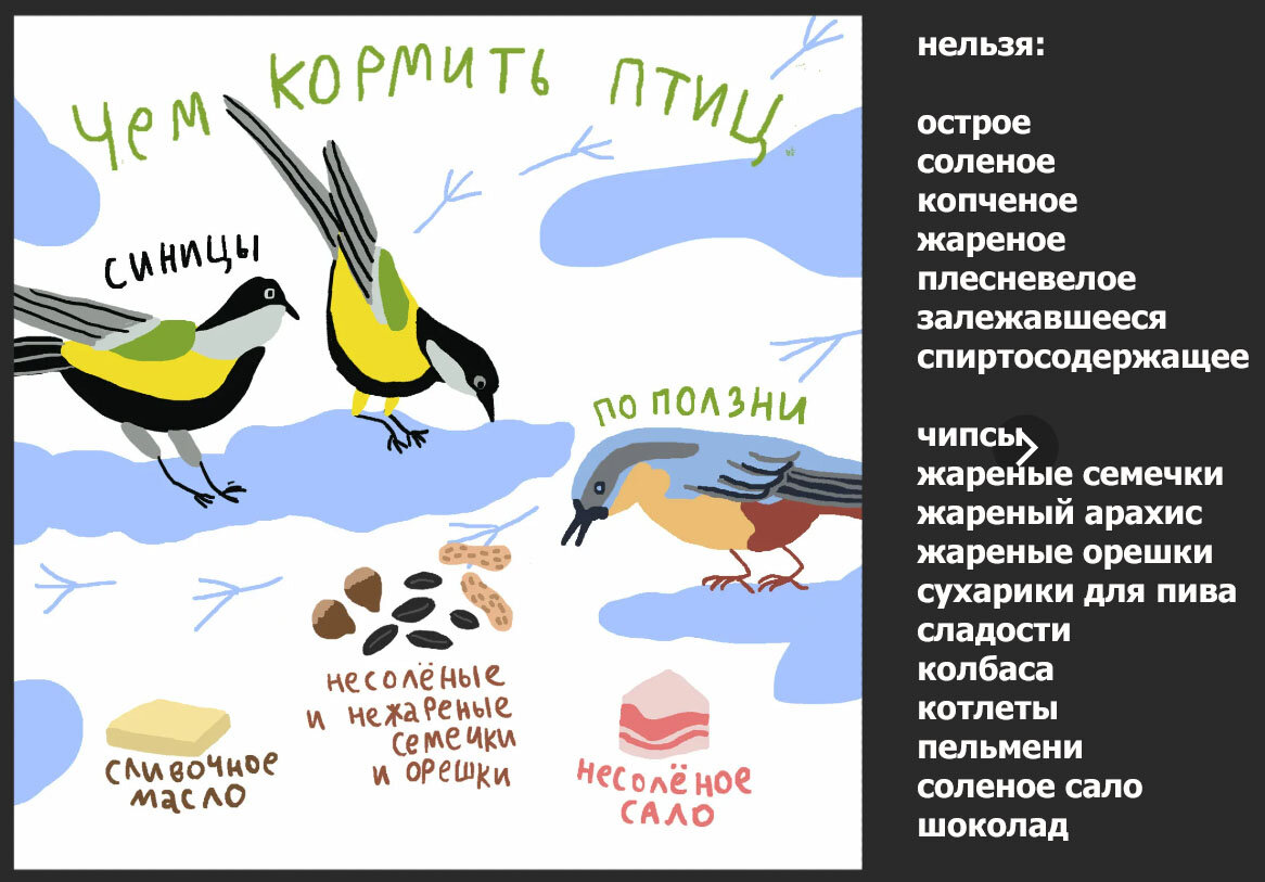 Чем нельзя кормить птиц зимой