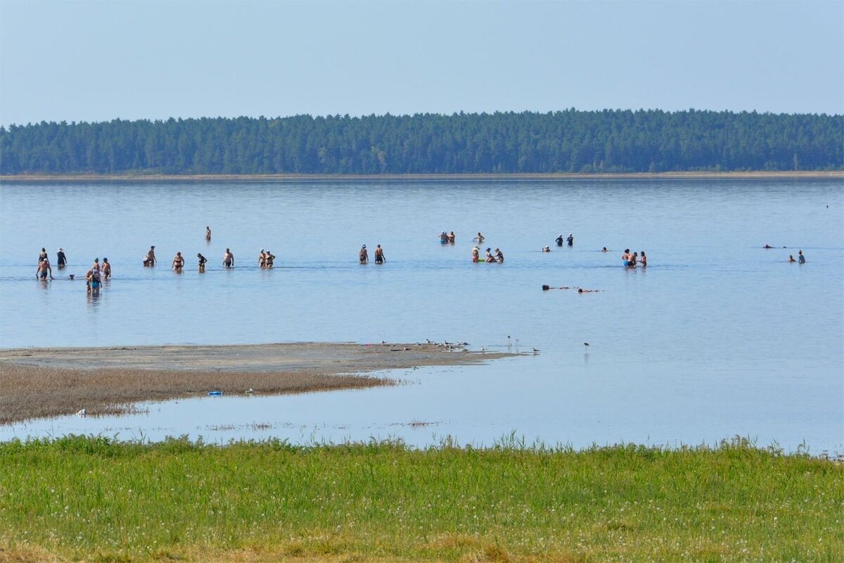 Озеро Медвежье Курганская. Озеро Медвежье Новосибирск. Курорт озеро Медвежье Курганская область. Озеро Медвежье Ильинское. Медвежье озеро лечение