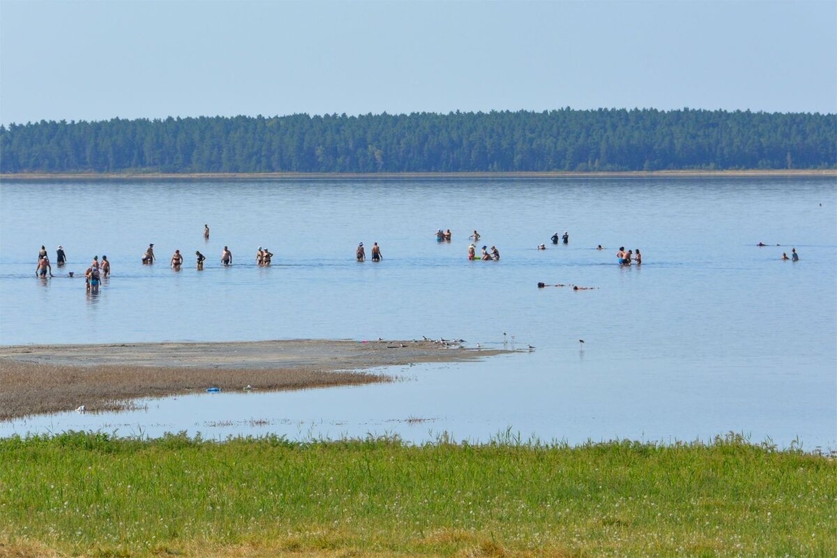 Озеро Медвежье Курганская. Озеро Медвежье Новосибирск. Курорт озеро Медвежье Курганская область. Озеро Медвежье Ильинское. Курганская область озеро медвежье соленое