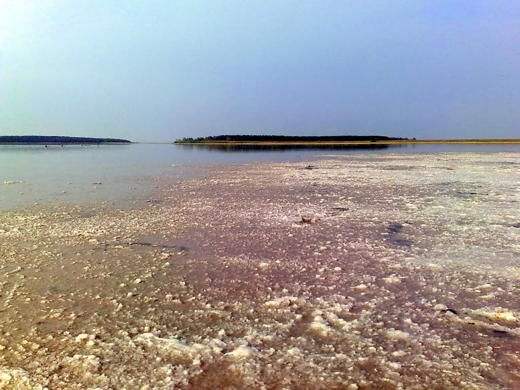 Озеро Медвежье Курганская. Курорт озеро Медвежье Курганская область. Курганские соленые озера. Седвежье озеро Курганская обл. Погода озеро медвежье курганская