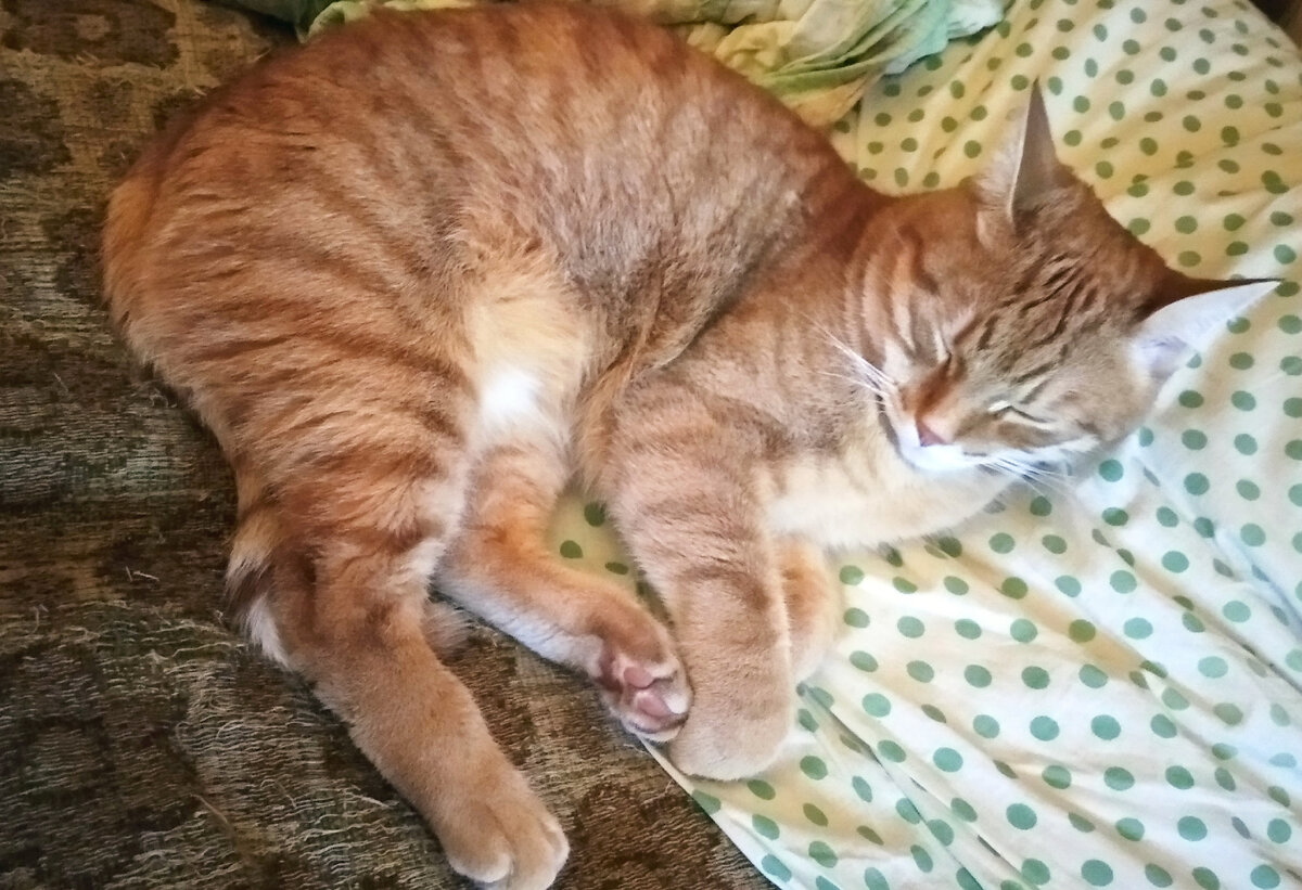 Ты солнце. Стихи про солнце короткие. Ты солнышко картинки. Пойдем солнышко. Стихотворение про солнышко для детей.