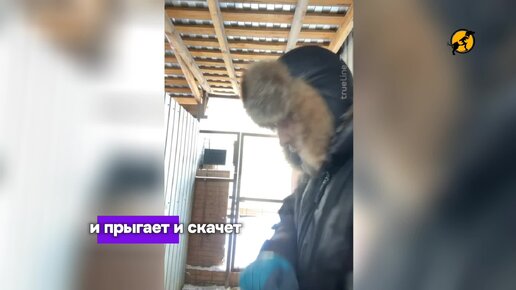 В гостях у Капитошки 🐶