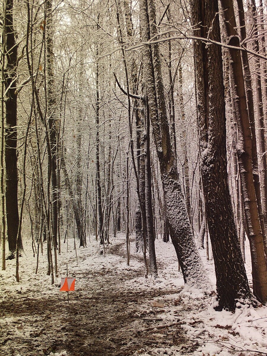 Знакомлюсь с зимней Москвой