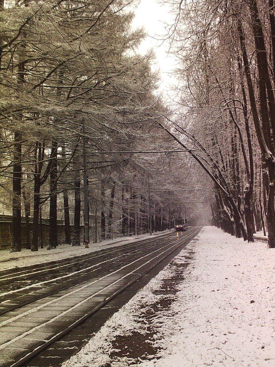 Какой будет ноябрь в москве