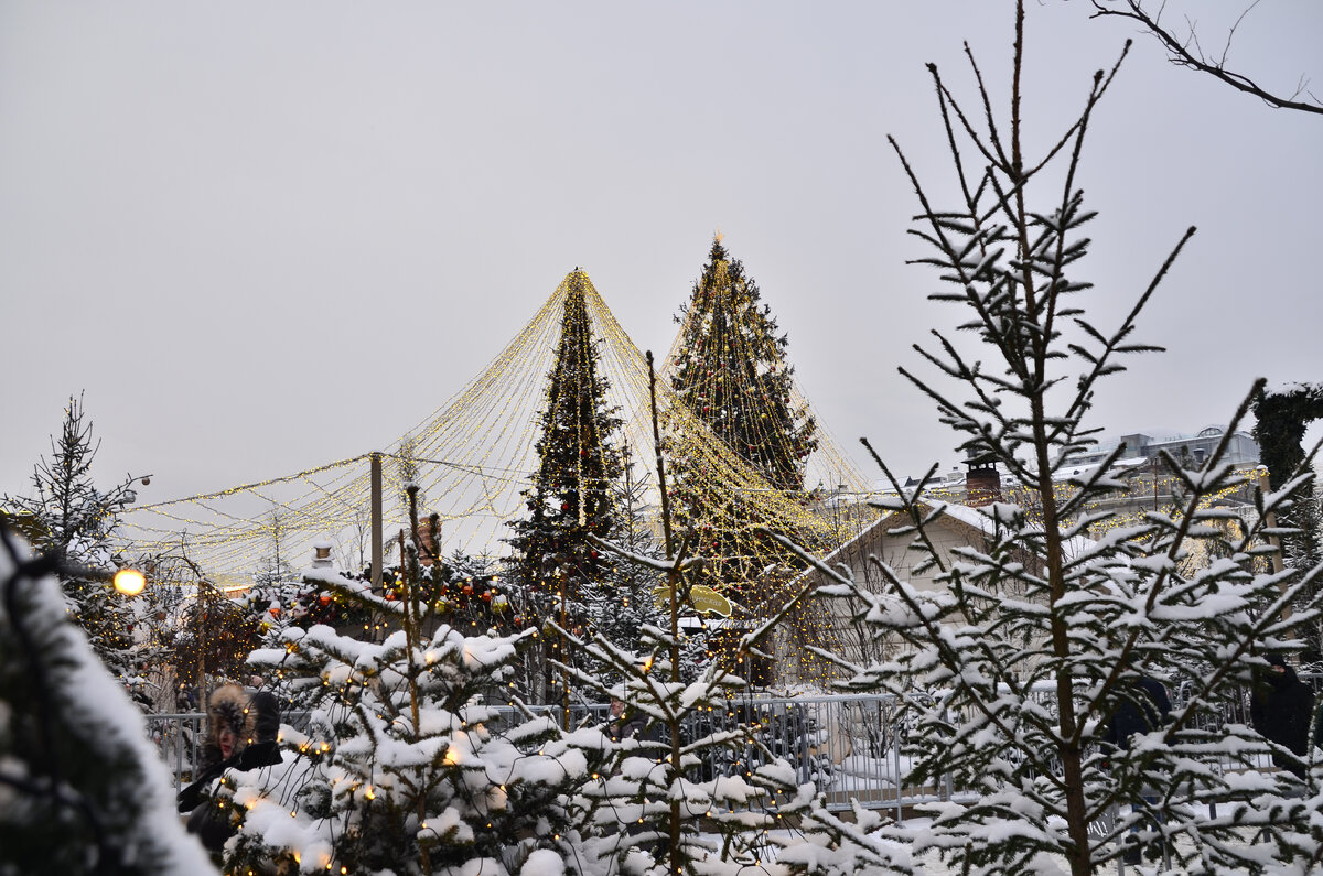 другие елочки