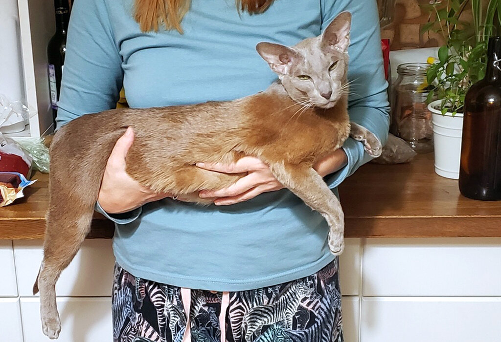 Она захватила мой уютный мирок. И меня!