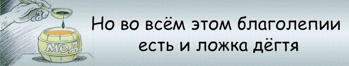 С какими основными проблемами сталкивались люди в своей повседневной жизни в СССР?