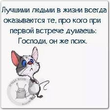 Веселые цитаты про жизнь со смыслом и с юмором