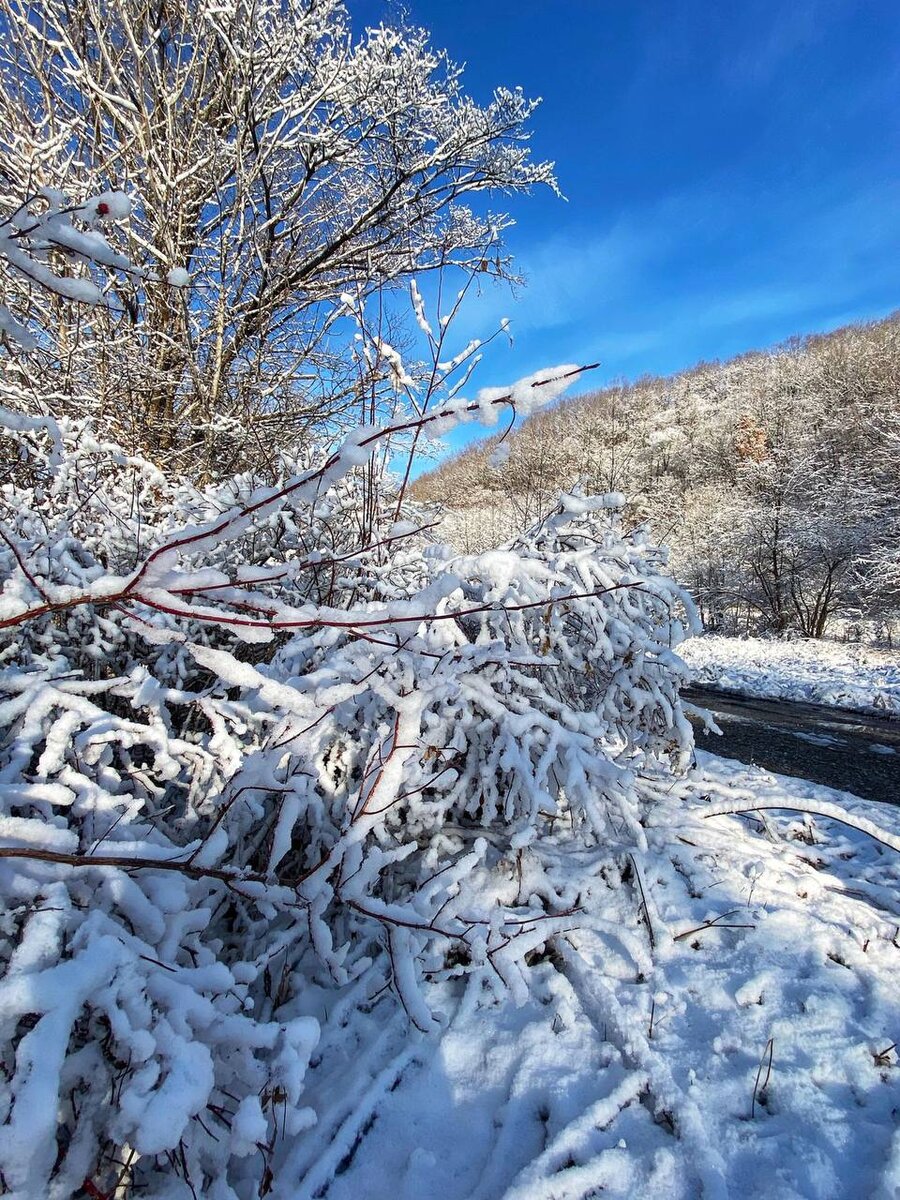 Фото Людмилы Пырковой.
