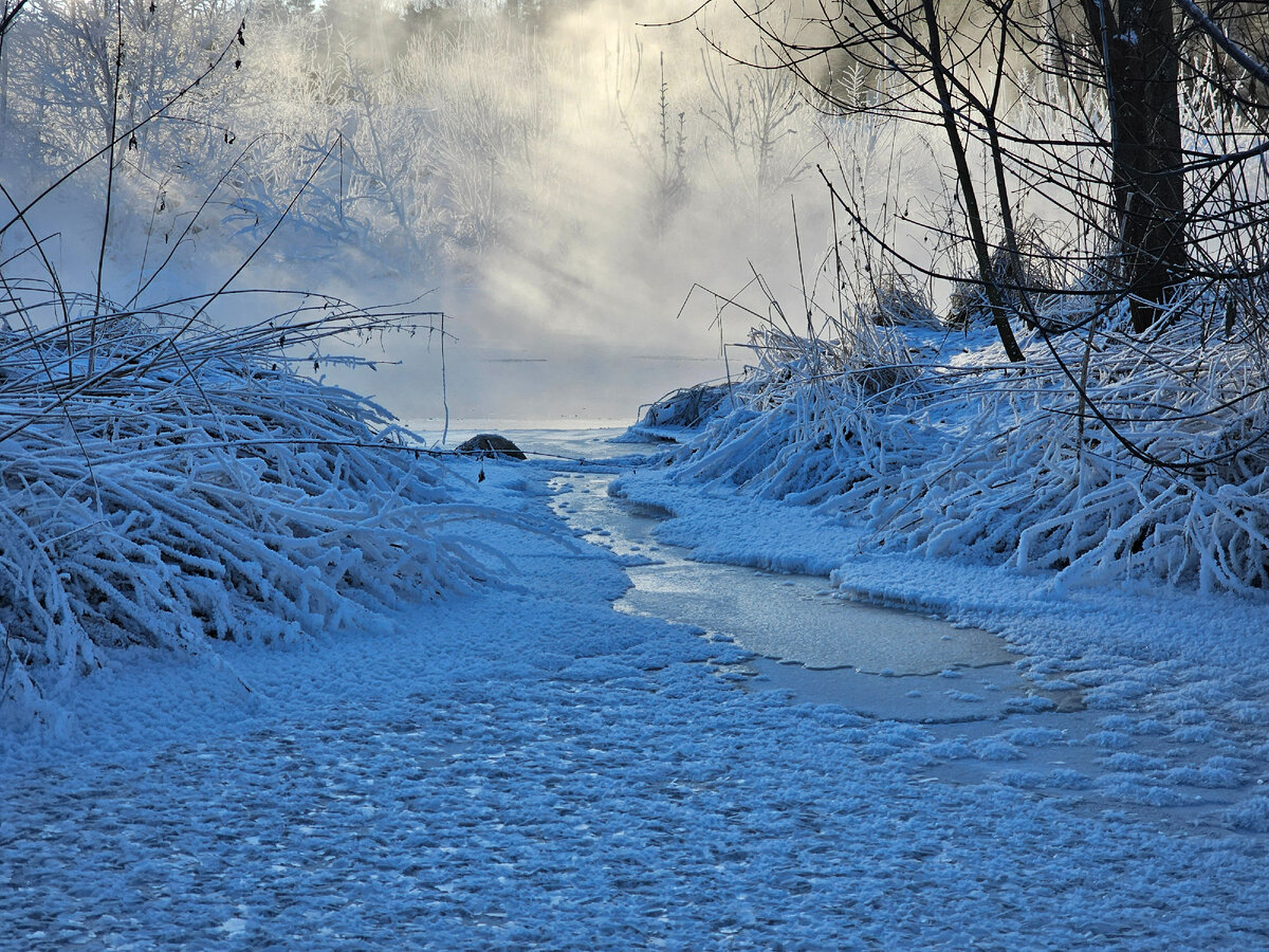 Царство Берендея (фото автора)