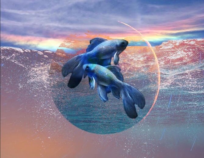 Наблюдение за луной декабрь. Полнолуния 2020-2021. Календарь новолуний на 2024 год. Фазы луны в декабре 2021. Календарь новолуний на 2024 год.