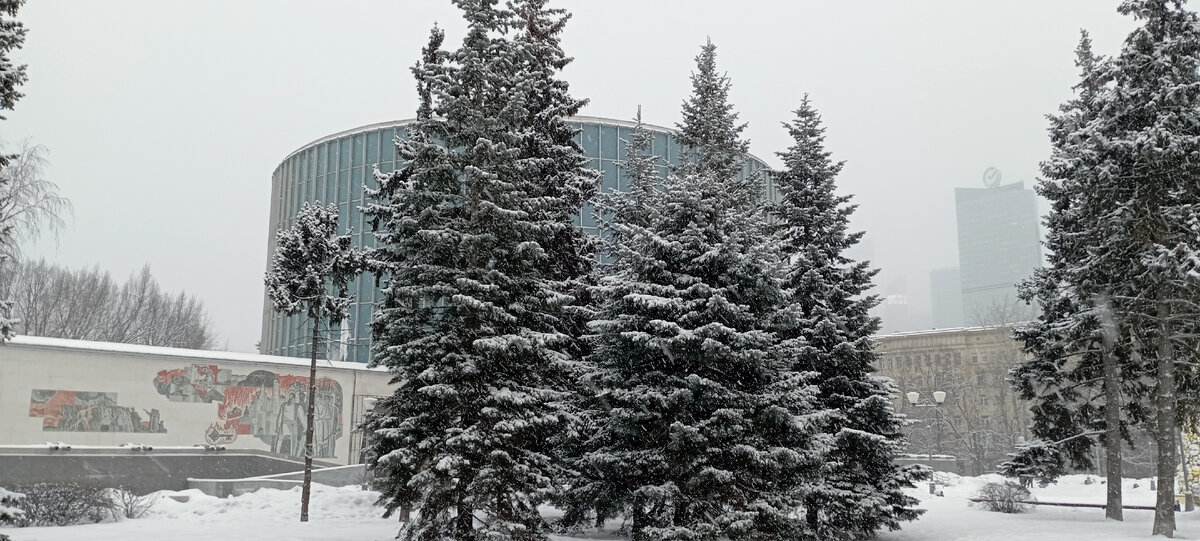 06.01.2024 г, суббота. Музей - панорама Бородинская битва, Кутузовский проспект, дом 38, стр.1. 1812panorama.ru Фото автора.