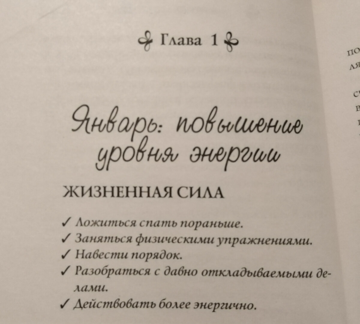 Про планы на январь и расхламление | Гнездо бобра, моя попытка номер два |  Дзен