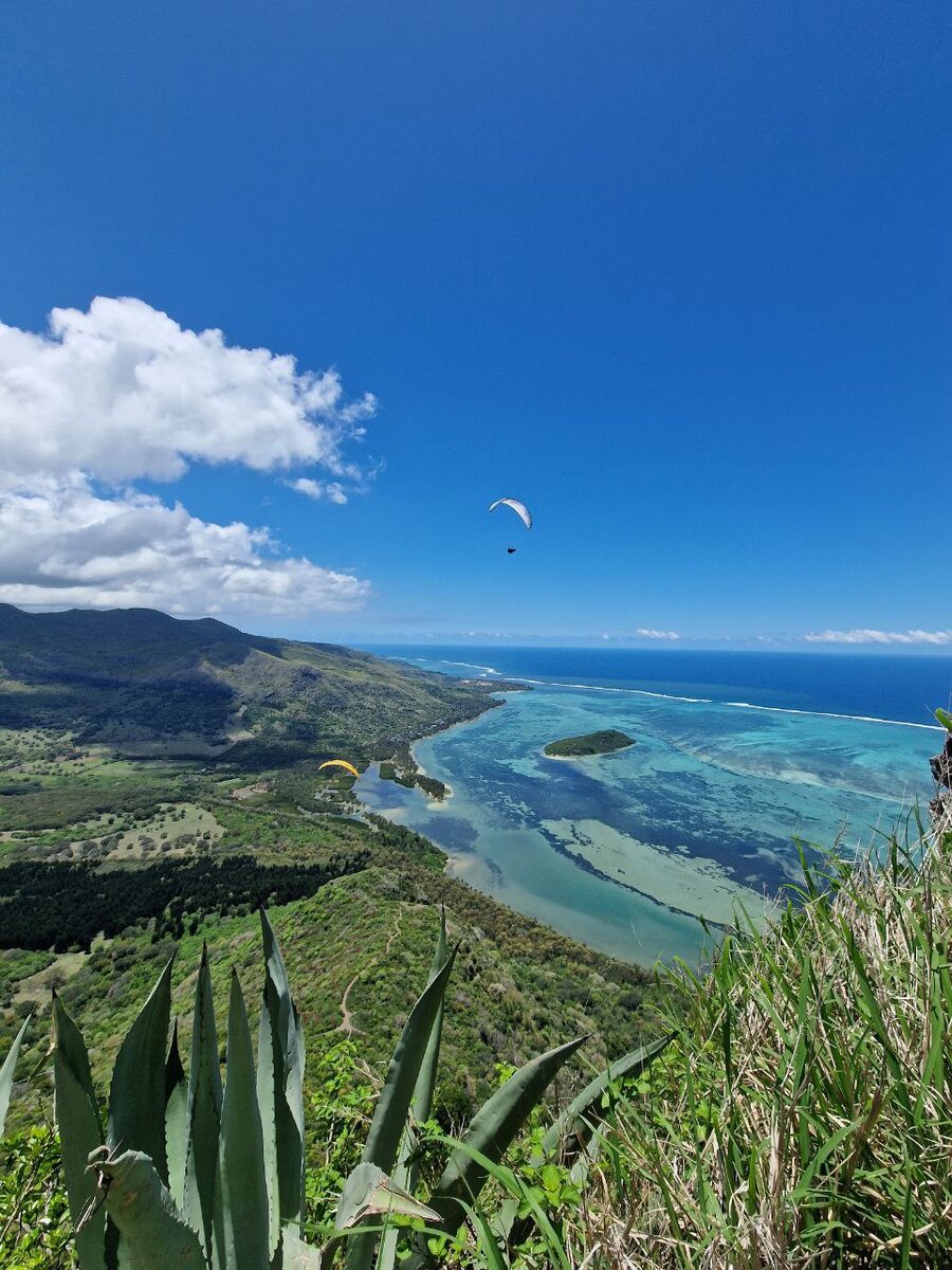 Вид с горы Ле Морн, остров Маврикий. Автор Лия Хабарова