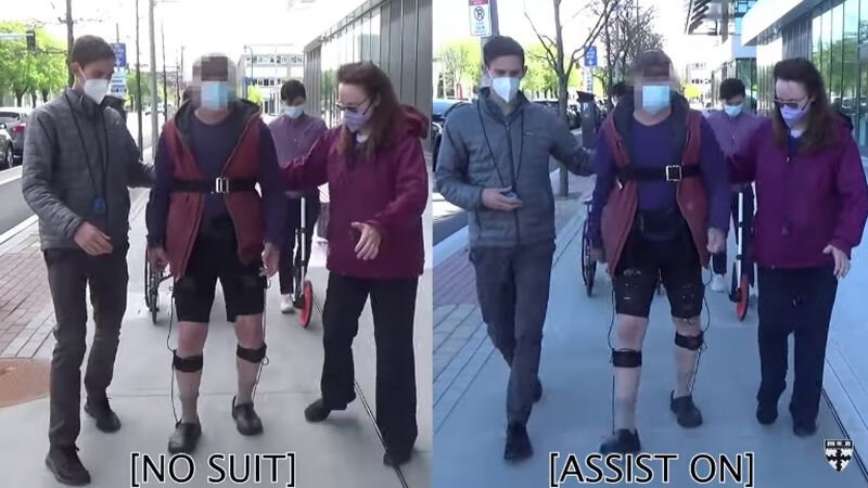 Ребенка ведут за руку. Люди идут в университет. Первые шаги ребенка. Какая сиш ходит налвух погах. Собака ходит на двух ногах.