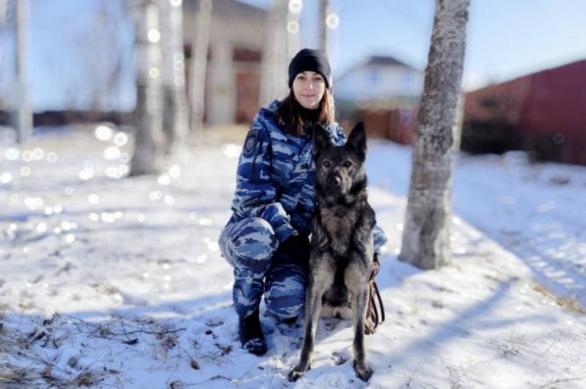 Полиция заявляет