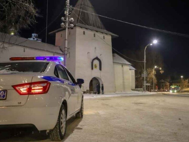     Фото: пресс-служба УМВД России по Псковской области