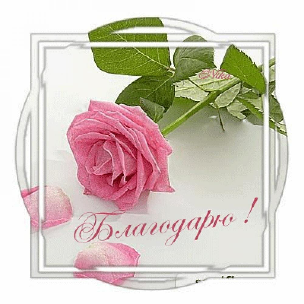 в хорошем смысле значение. в хорошем смысле значение. значение. нет смысла жить цитаты. семиотика схема.