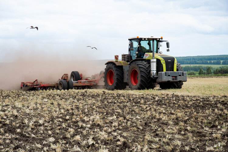 Засуха и невысокий спрос
