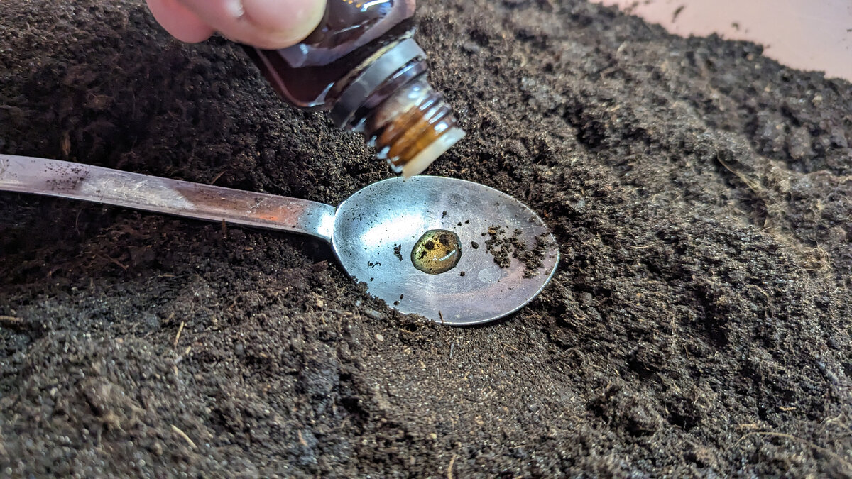 Садовод нет. Садовый центр г. Net интернет магазин. Мой садовод интернет магазин отзывы. Sadovod net интернет магазин личный кабинет.