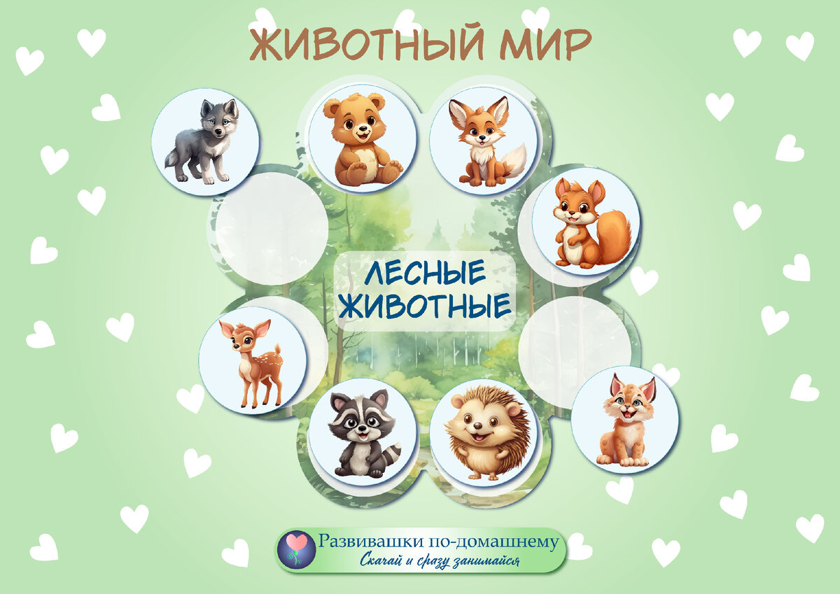 Классификация животных 1 класс