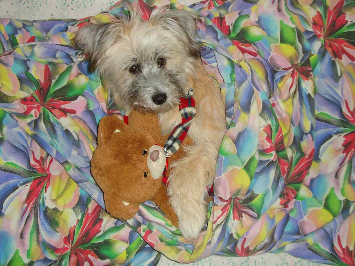 Фимочка-подросток