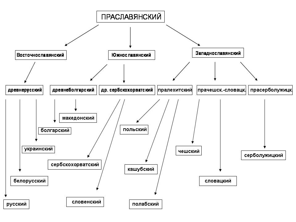 Какие языки относятся к старославянским. Схема происхождения славянских языков. Схема развития славянских языков. Схема индоевропейских языков. Славянские языки схема.