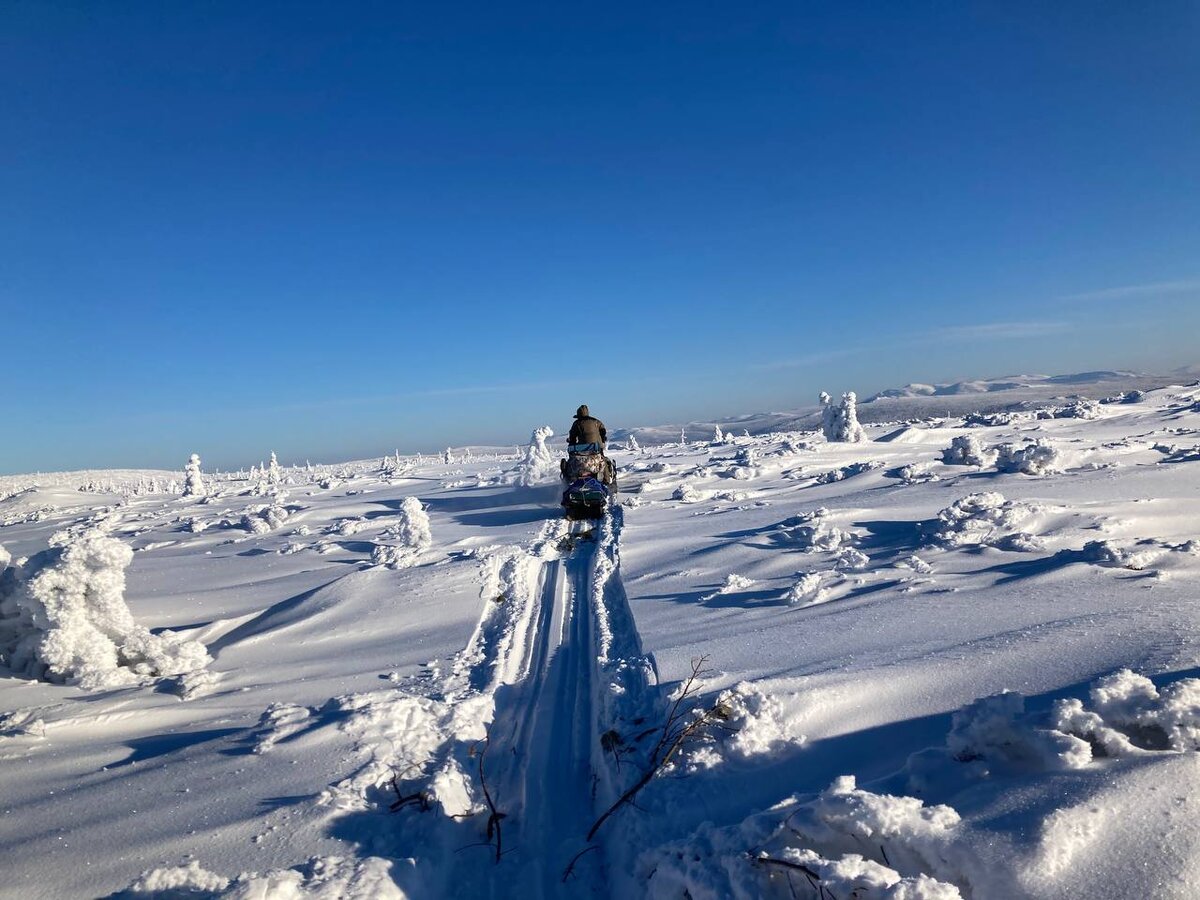 Погода в белой на 10 дней