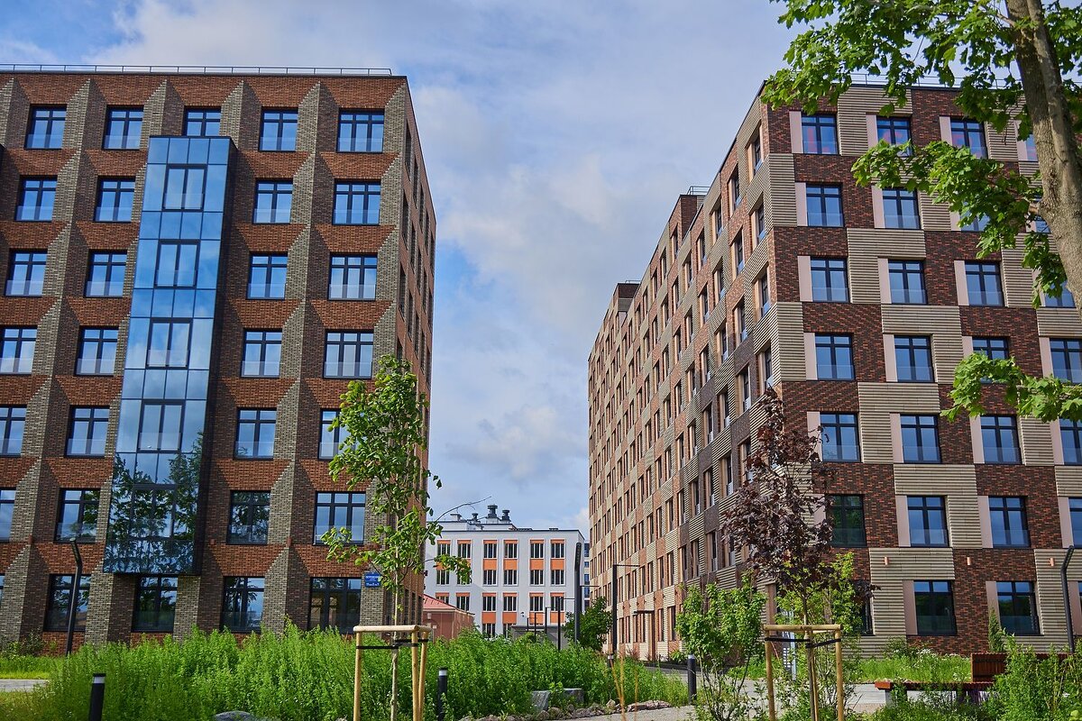 Новостройки в Петроградском районе Санкт-Петербурга