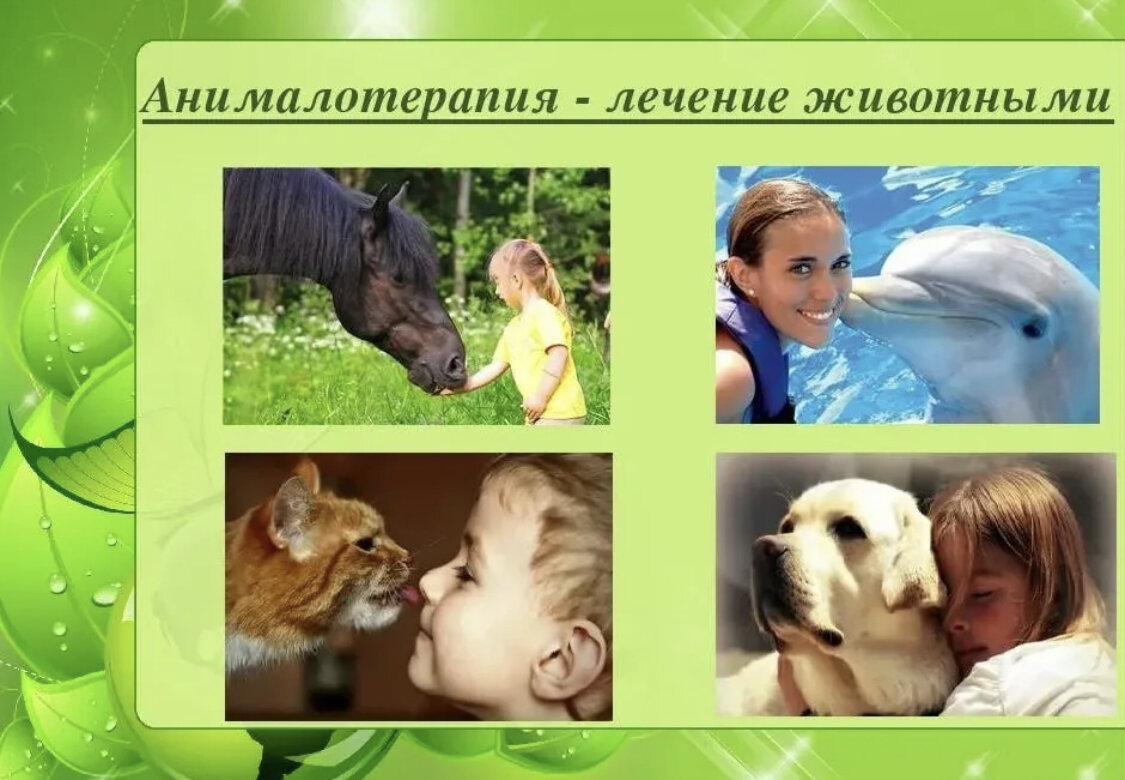 Какие животные лечат. Анималотерапия для детей дошкольного возраста. Анималотерапия животные. Терапия животными для детей. Анималотерапия картинки.