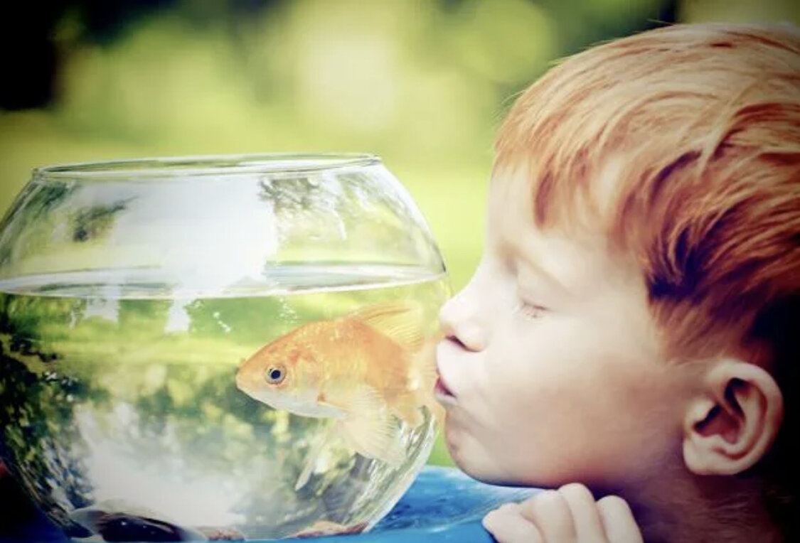 Рыбки для детей. Мальчик с аквариумом. Аквариум для детей. Мальчик с рыбой в аквариуме. Ребенок рыбы мальчик