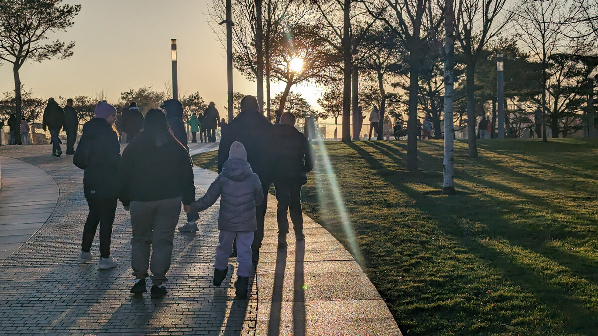 В парке Галицкого. Вы не сошли с ума, это сейчас в январе там зелёная трава. Поверить в это сложно, но трава в Краснодаре круглый год
