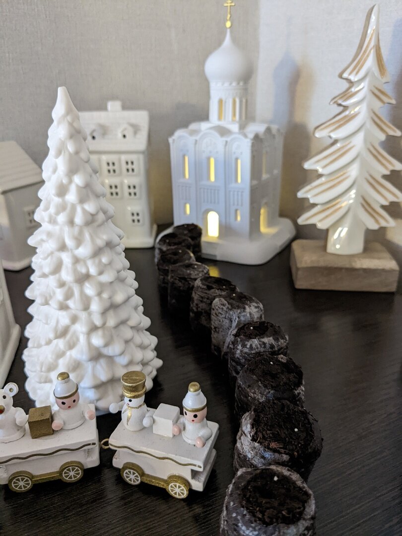 Посев бегонии - 7 января, посев эустомы - 9 января