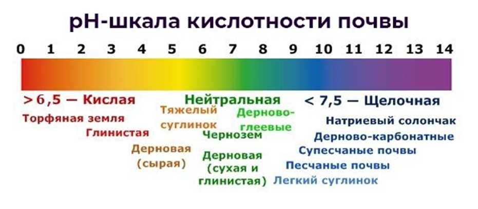 Определяем кислотность почвы сами и быстро. Памятка дачникам Дачные истории Дзен