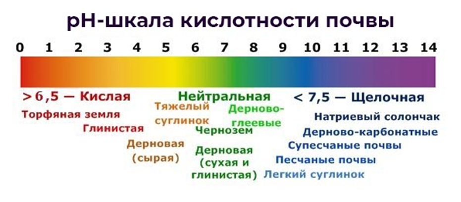 Кислотность рн 6. Шкала PH почвы кислотности почвы. РН 7.5 почвы кислотность. ПШ шкала кислотности.